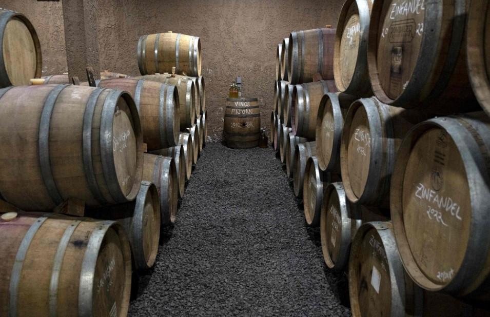 Tourist influx raises fears for Mexico’s wine heartland