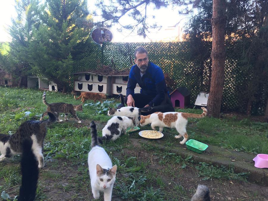 Teacher establishes ‘cat village’