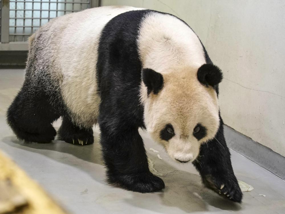 Experts visit Taiwan in rare point of contact