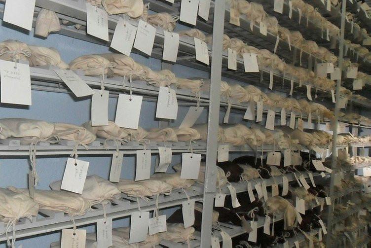 Digital database established for endemic plant species
