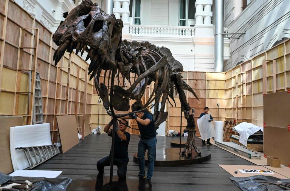 Christie’s cancels controversial T-rex auction in Hong Kong