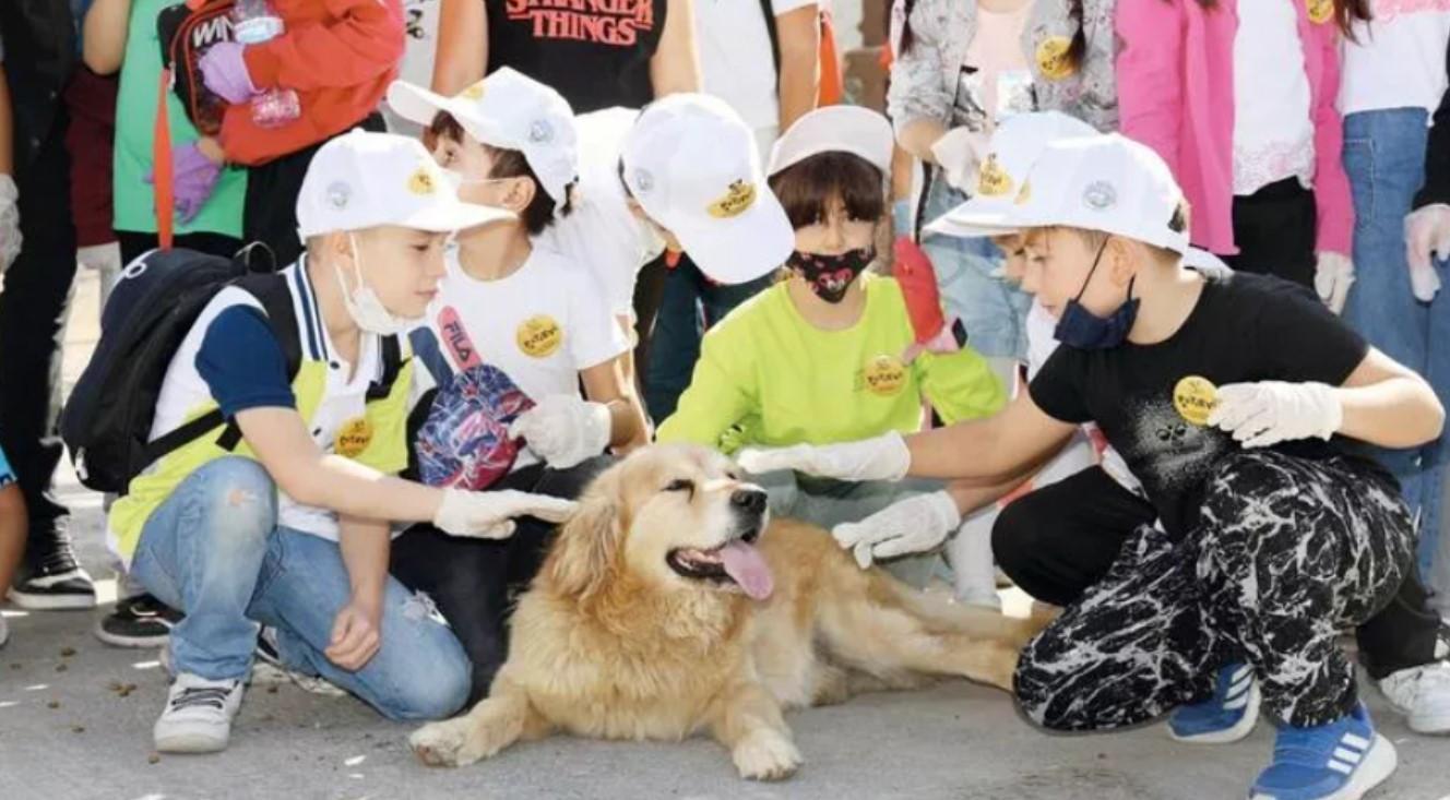 Animal rights to be under legal guarantee
