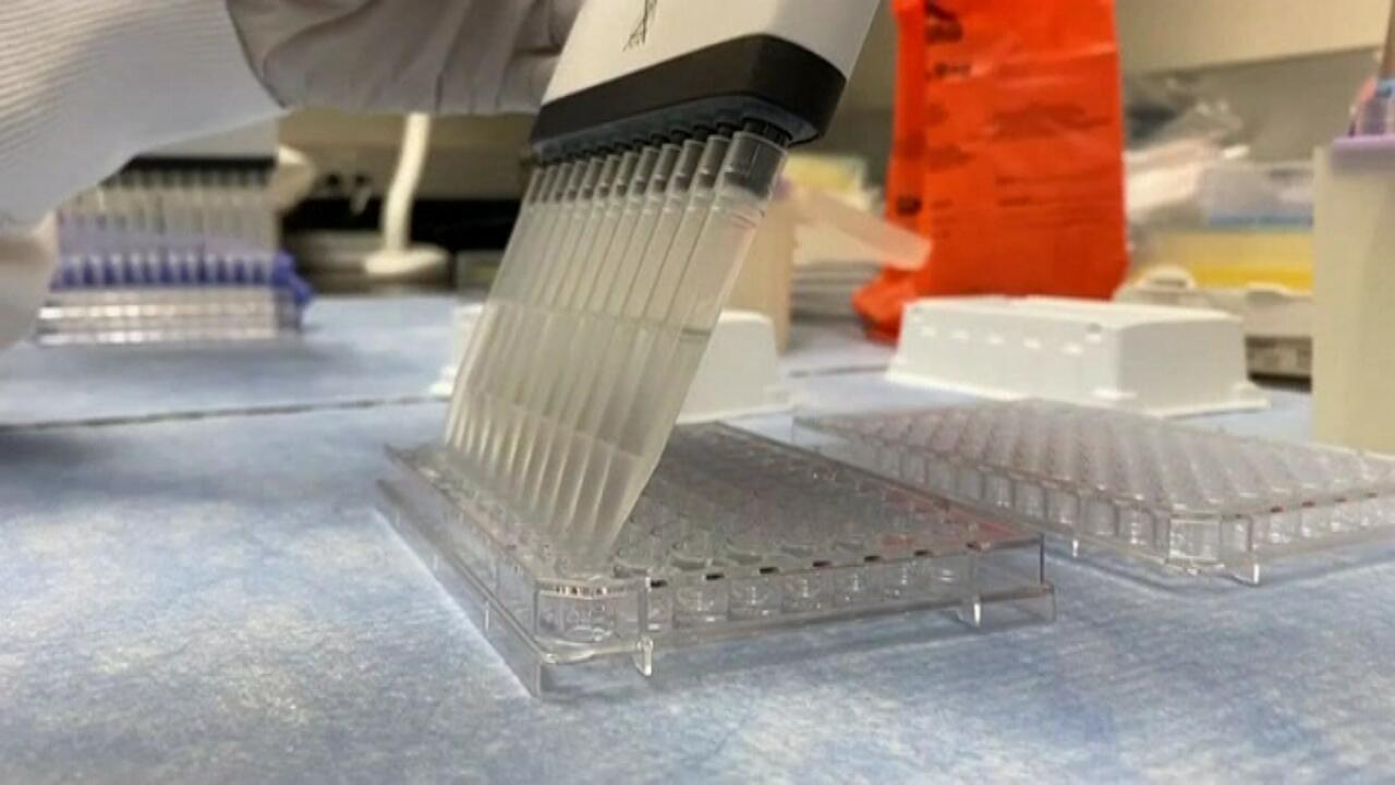 Domestic diagnostic kit to detect 3 viruses together