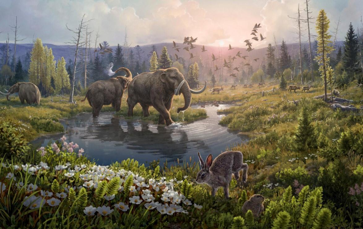 Scientists find 2-million-year-old DNA in Greenland
