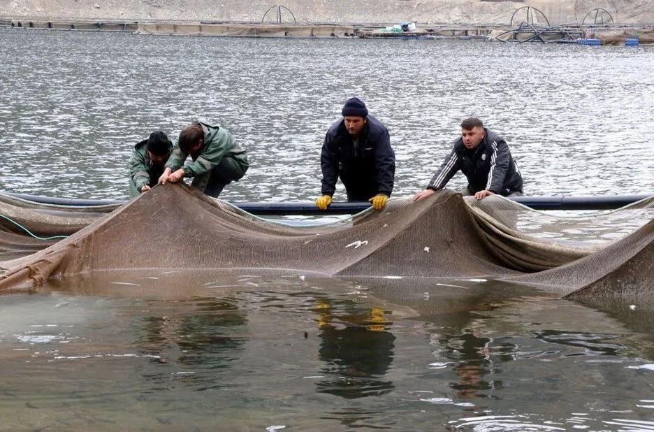 Thousands of tons of fish exported from landlocked city