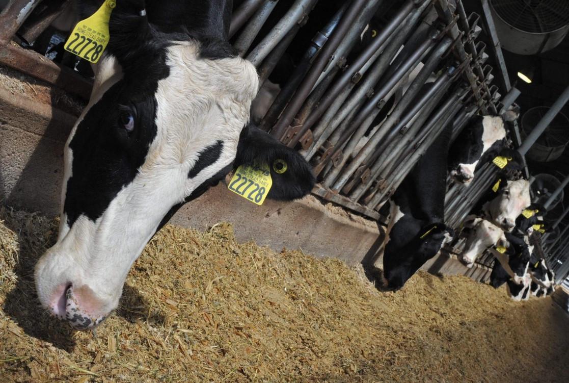 US widens trade complaint against Canada over dairy