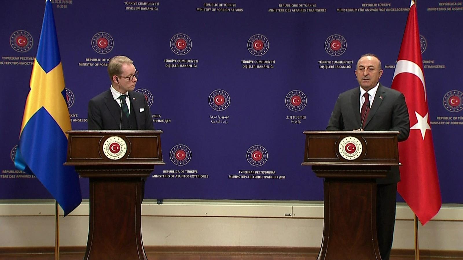 Sweden did not take concrete steps on extradition requests: Turkish FM