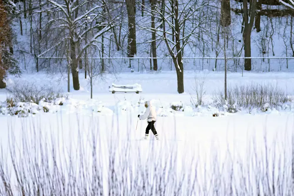 Arctic storm brings holiday travel chaos to US