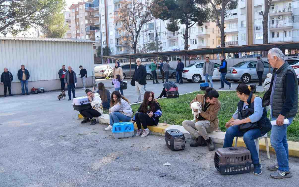 Minister hints extending pet registration deadline