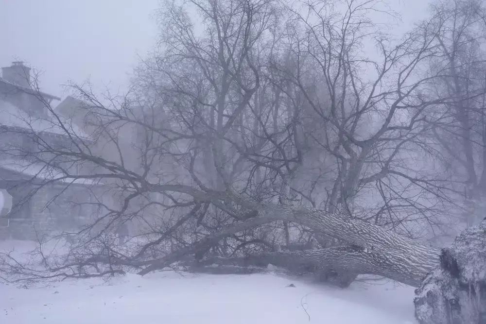 US digs out from monster storm as death toll passes 50