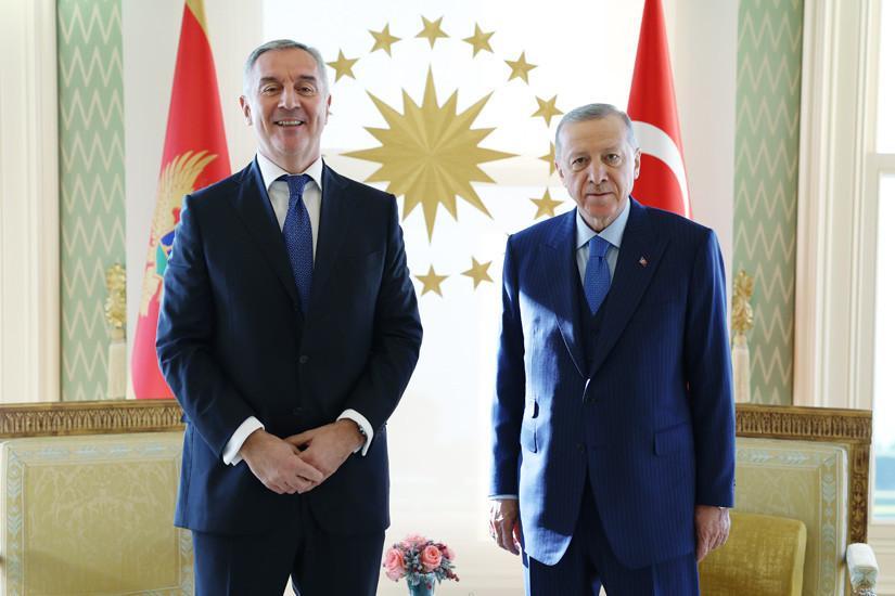 Presidents of Türkiye, Montenegro meet in Istanbul