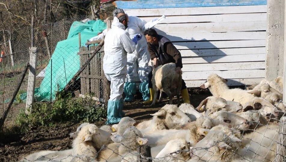 50 villages quarantined as smallpox detected in barns