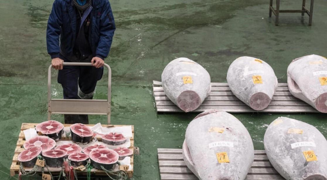Japan tuna price soars past $270,000 at New Year auction