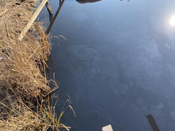 Ministry launches investigation into pollution in Riva Stream