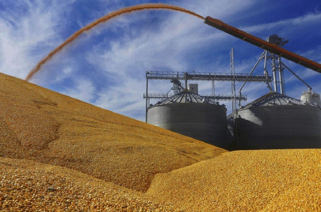 Argentine grain harvests threatened by drought
