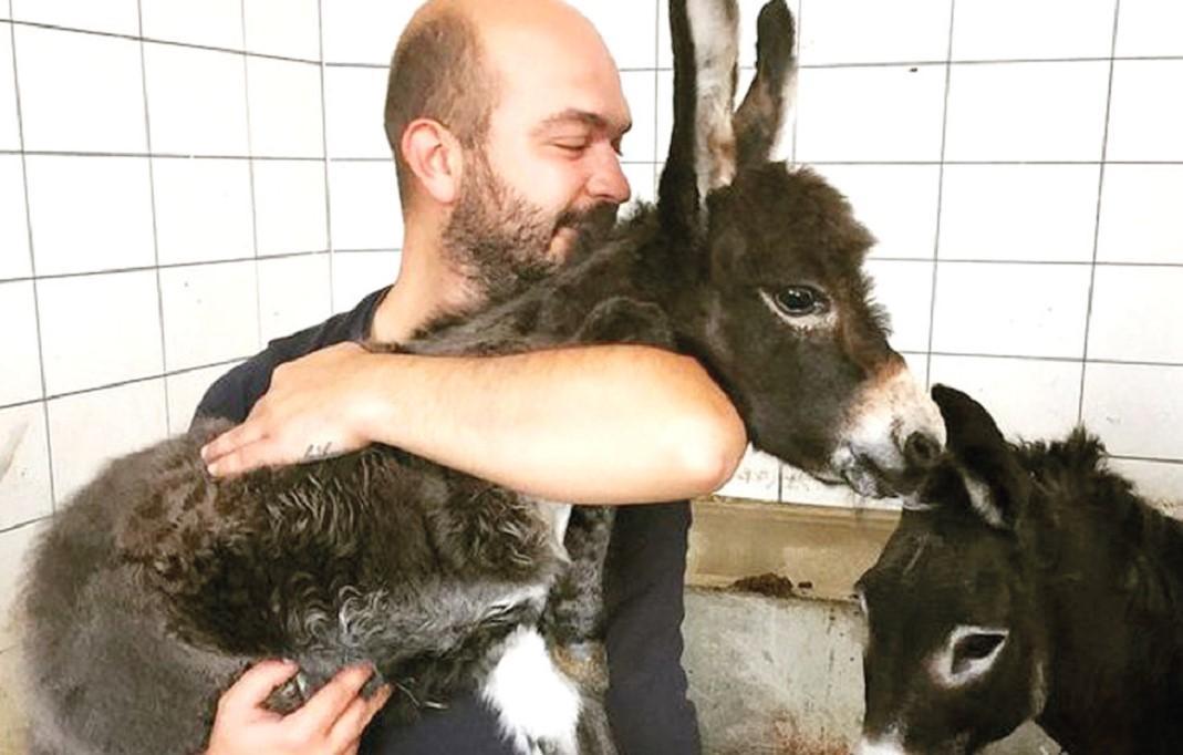 Man establishes operating room for pack animals