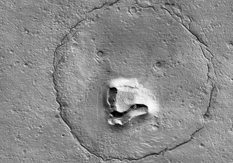 Cute-looking teddy bear appears on Mars