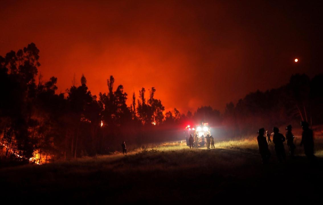 Death toll in Chile forest fires rises to 23: official