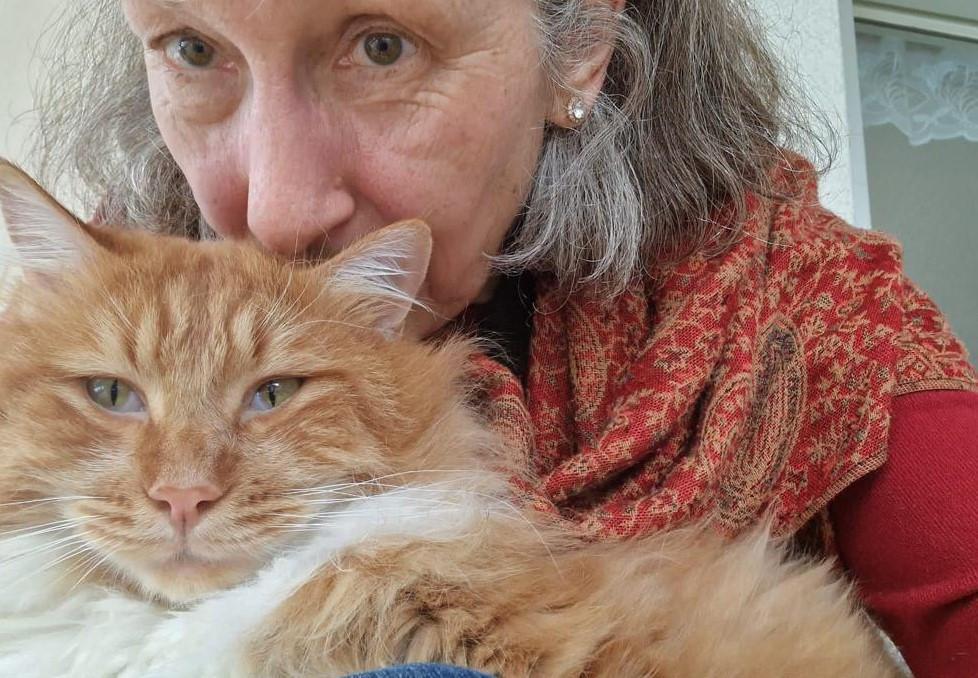 Swiss diplomat finds her cat thanks to pet tracking system