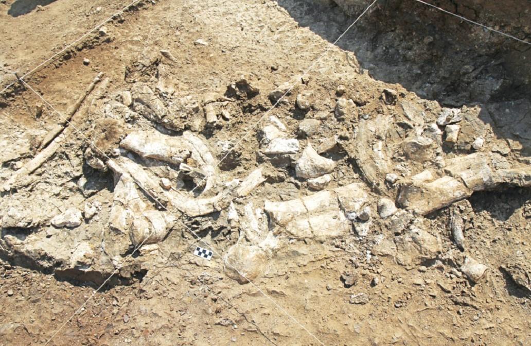 Kenyan study fuels a Stone Age mystery