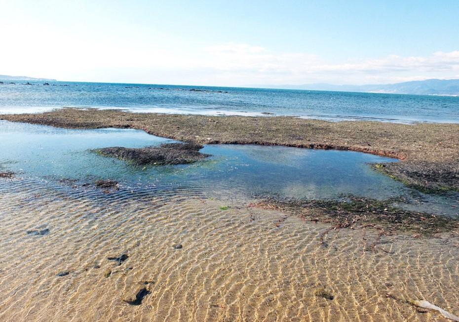 Ancient harbor comes to surface
