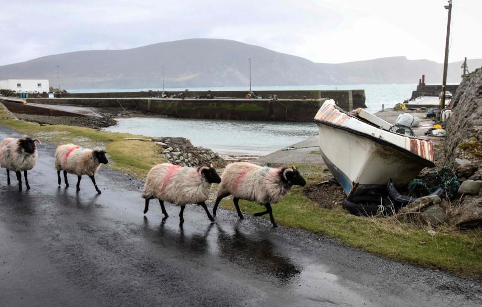 Remote ‘Banshees’ islands reap Oscars tourism boom