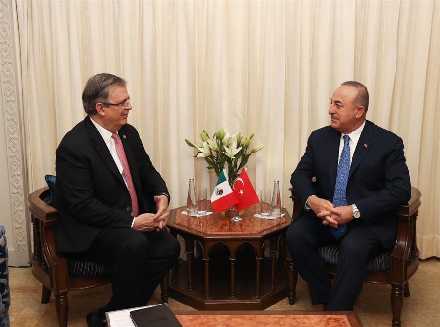 Global health, food safety priorities during Türkiye’s MIKTA term