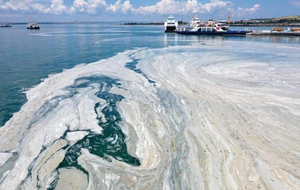 New formation of mucilage likely in Marmara Sea: Experts
