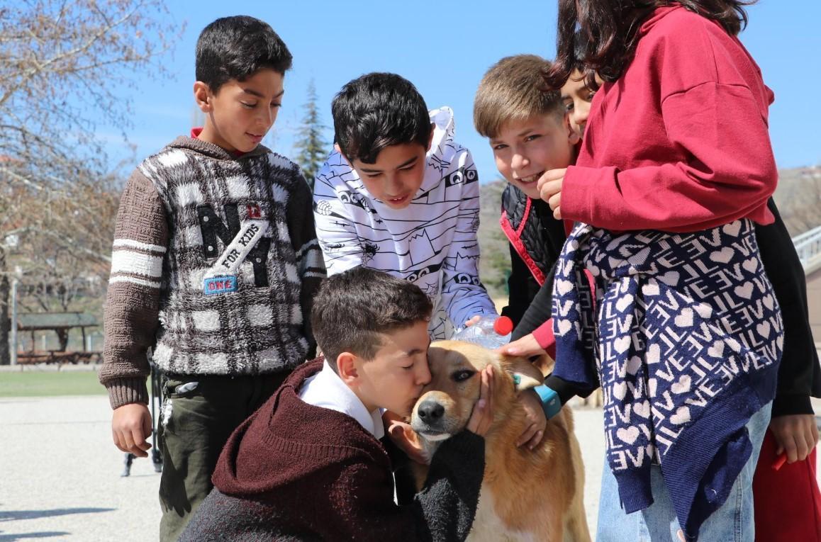 Teacher attempts to instill love for animals in students