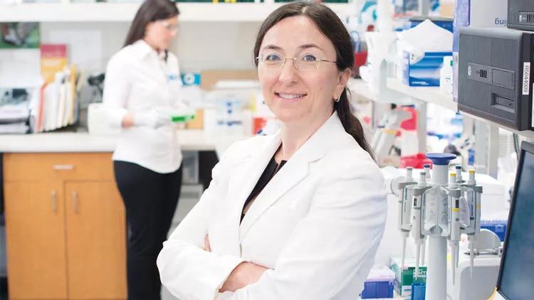 Turkish professor granted $41 mln for Alzheimer research