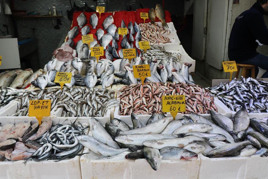 Fishing ban to start on April 15