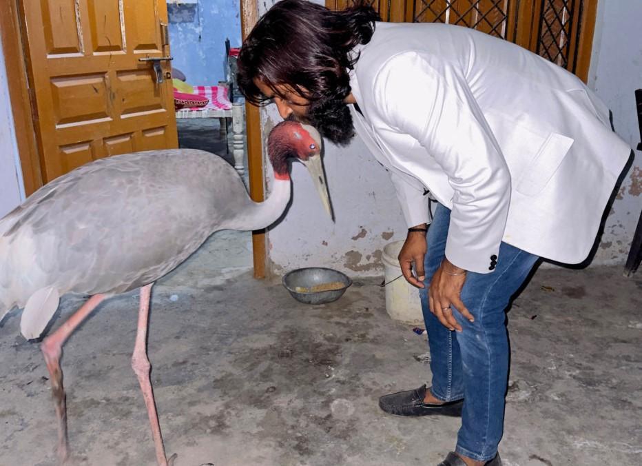 Indian man asks zoo for feathered friend’s release