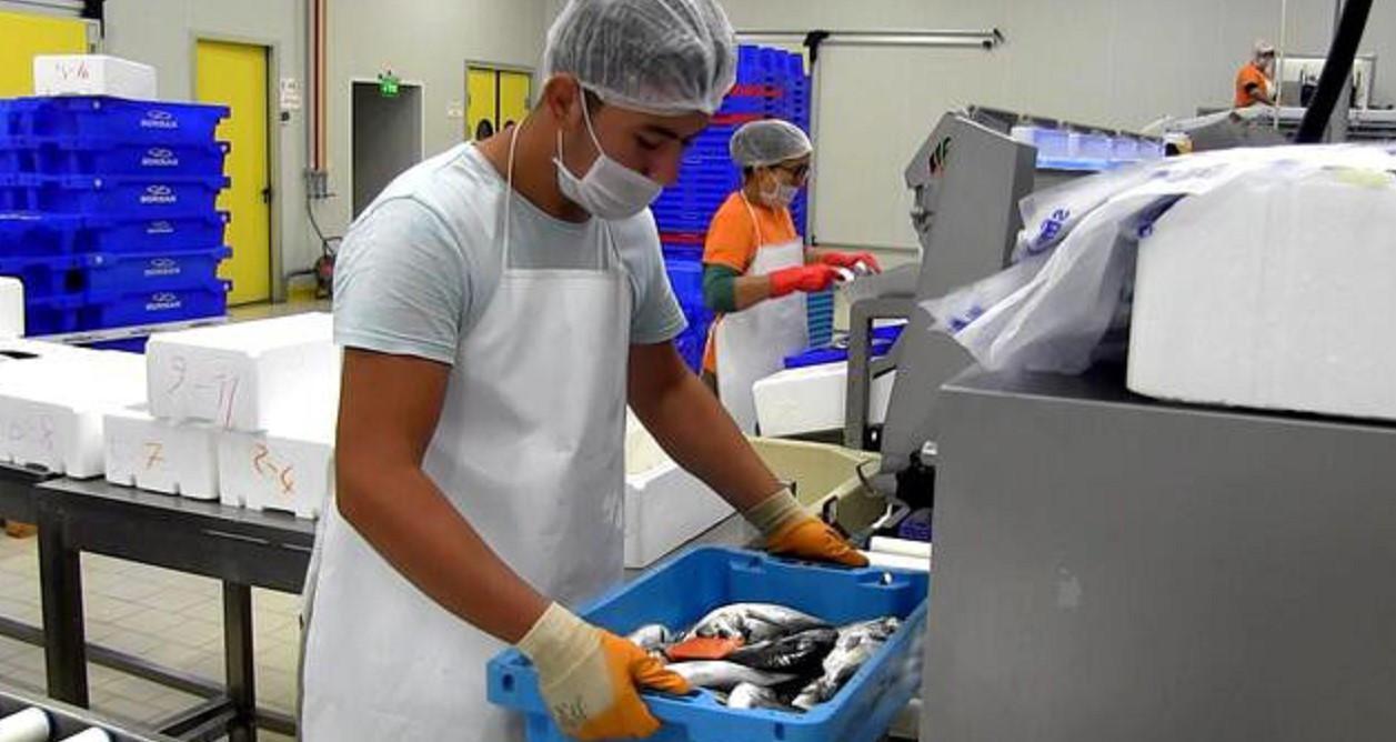 Türkiye’s aquaculture ranks first among EU nations