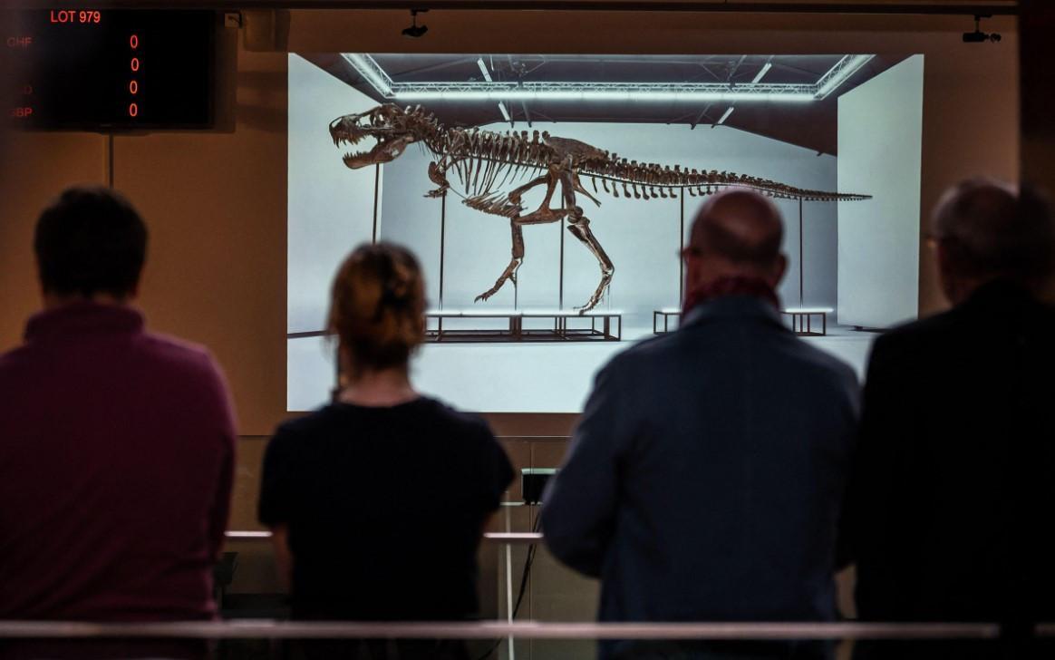 T rex skeleton sells for more than $5 mln at auction