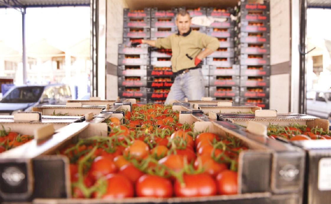 Russia raises Turkish tomato import quota