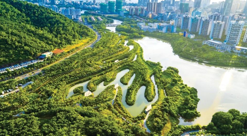 ‘Sponge cities’ to be established for water efficiency