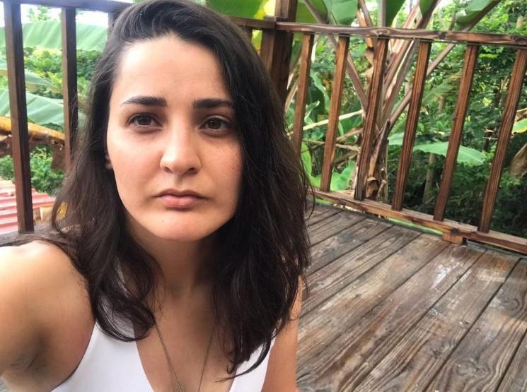 Former Hürriyet Daily News staff attacked in US