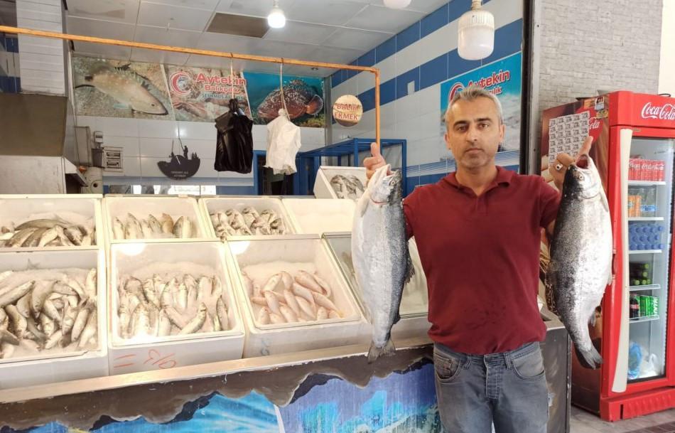 Fish market reopens in quake-hit city