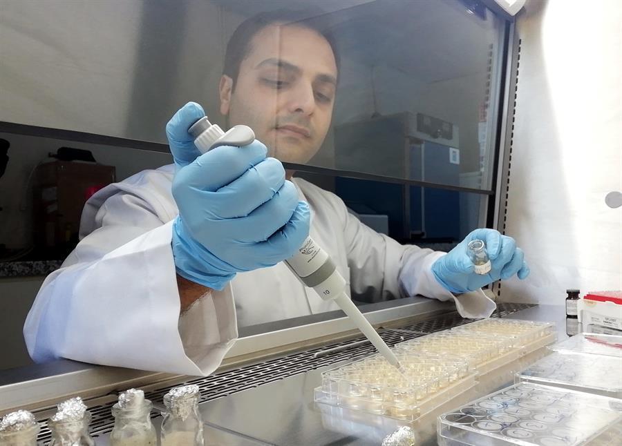 Scientist develops biotechnological fertilizer
