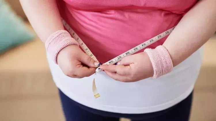 Nearly 20 pct of Turkish population obese: Official data