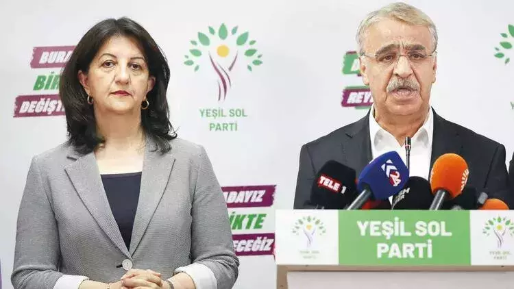 HDP co-chairs won’t rerun for leadership