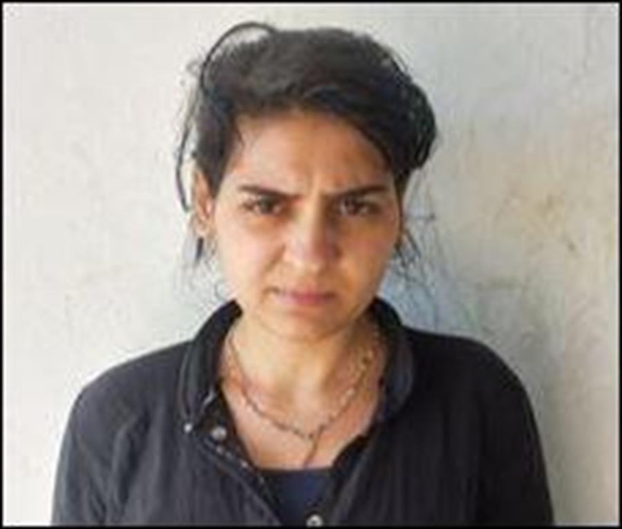MİT capture PKK member trying to enter Türkiye