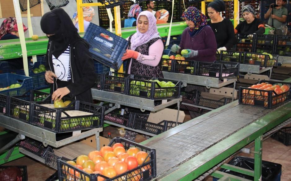 Talks on minimum wage hike set to start this week