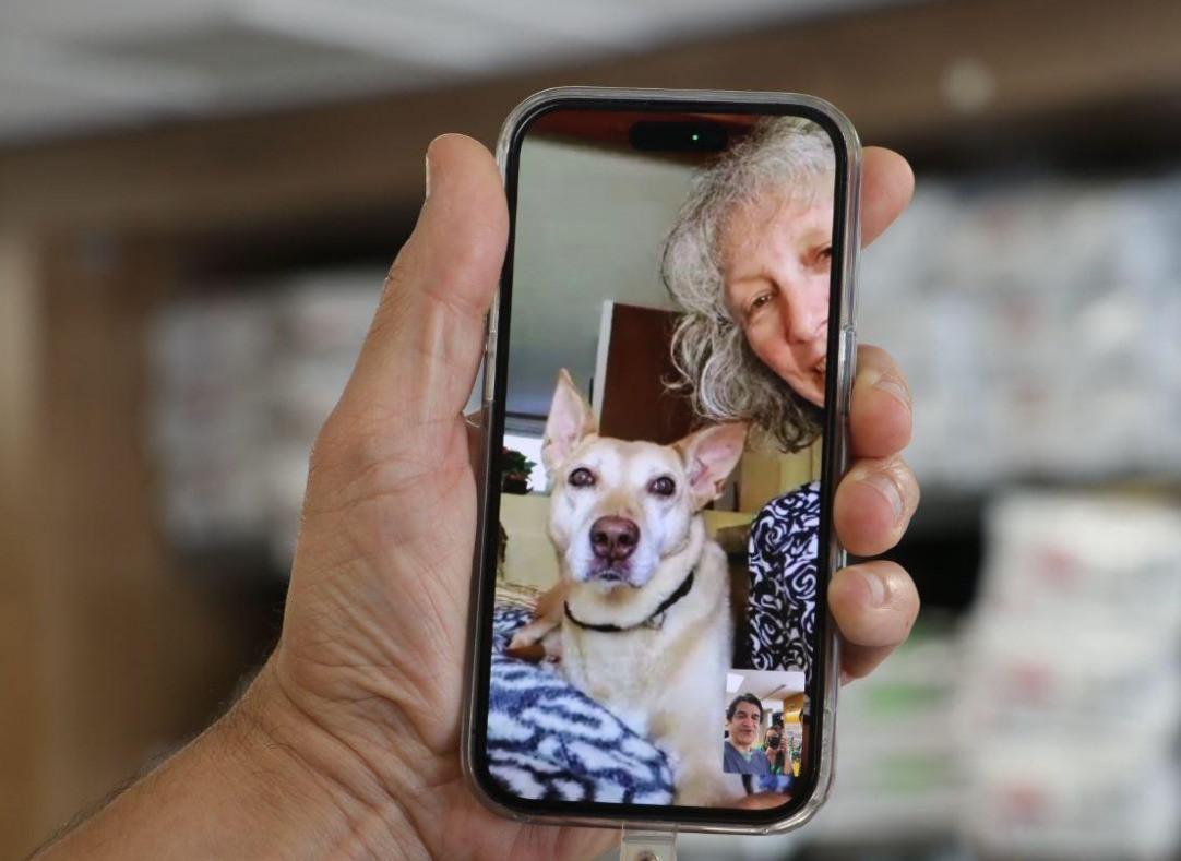 Swiss diplomat reunited with her dog after 10 months