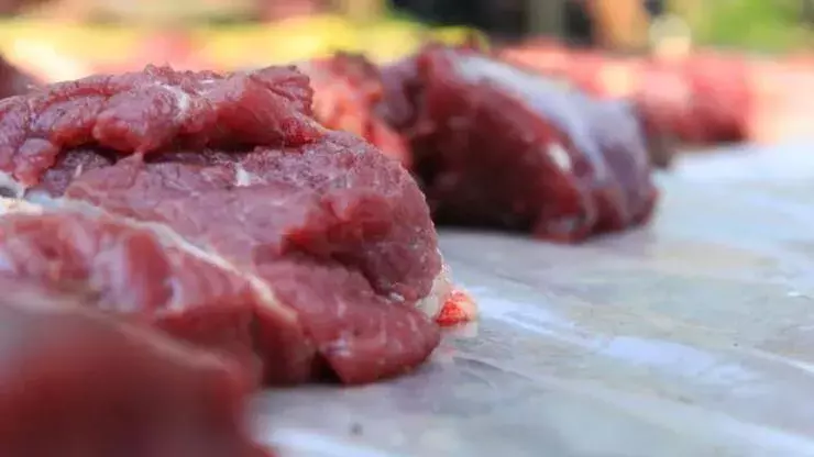 Meat hygiene crucial during Eid al-Adha: Expert