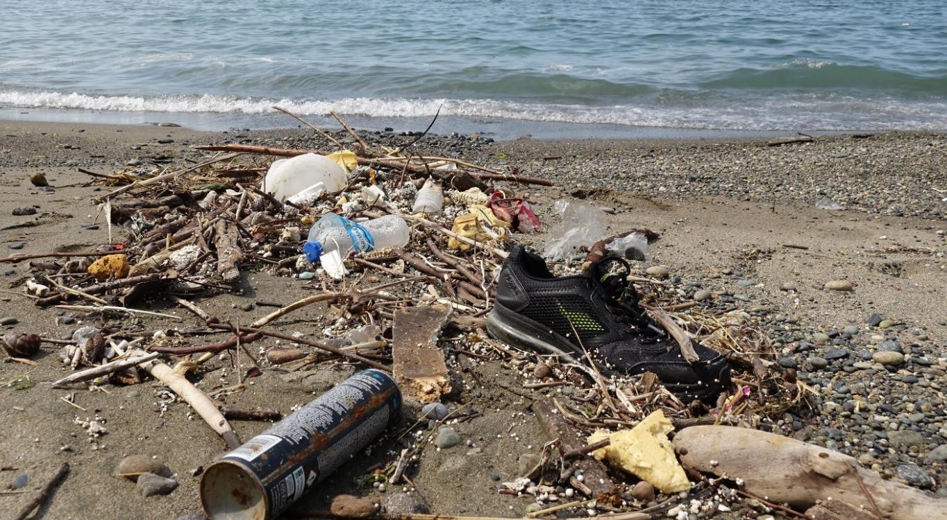 Waste reaching coasts of Black Sea accumulates: Expert