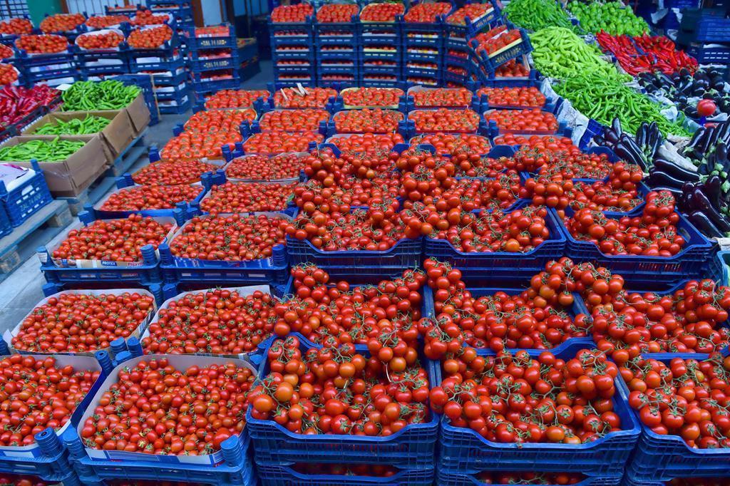 Russia raises tomato import quota from Türkiye