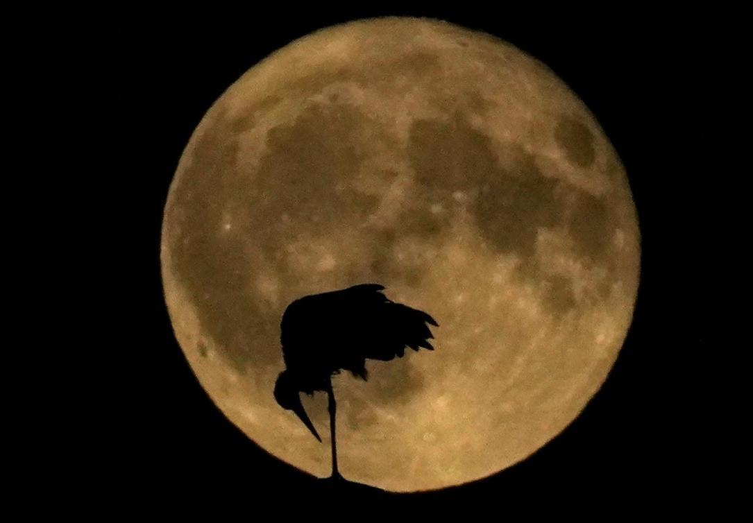 Two supermoons in August mean double the stargazing fun