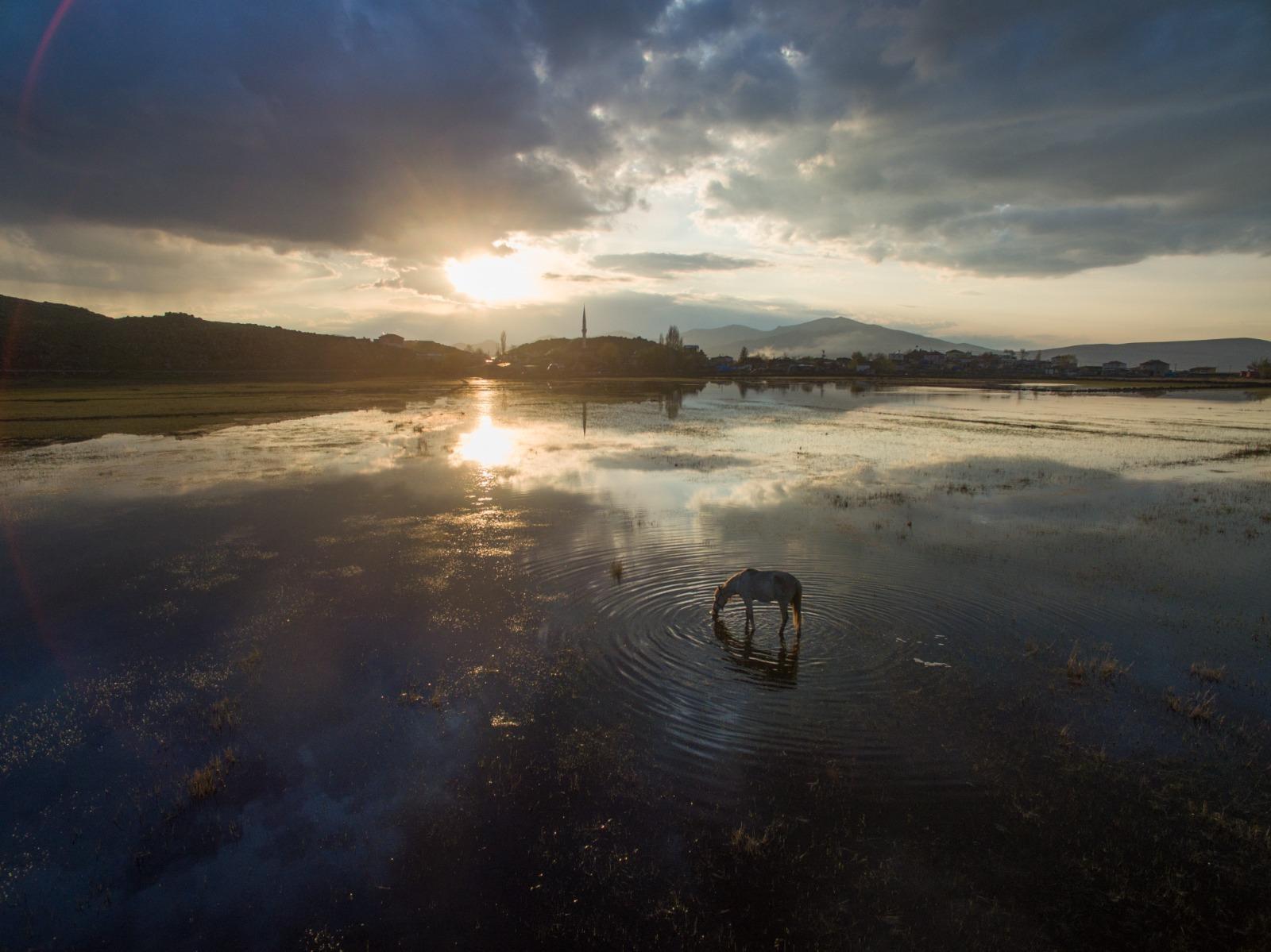 Several natural areas registered as ‘strictly protected’