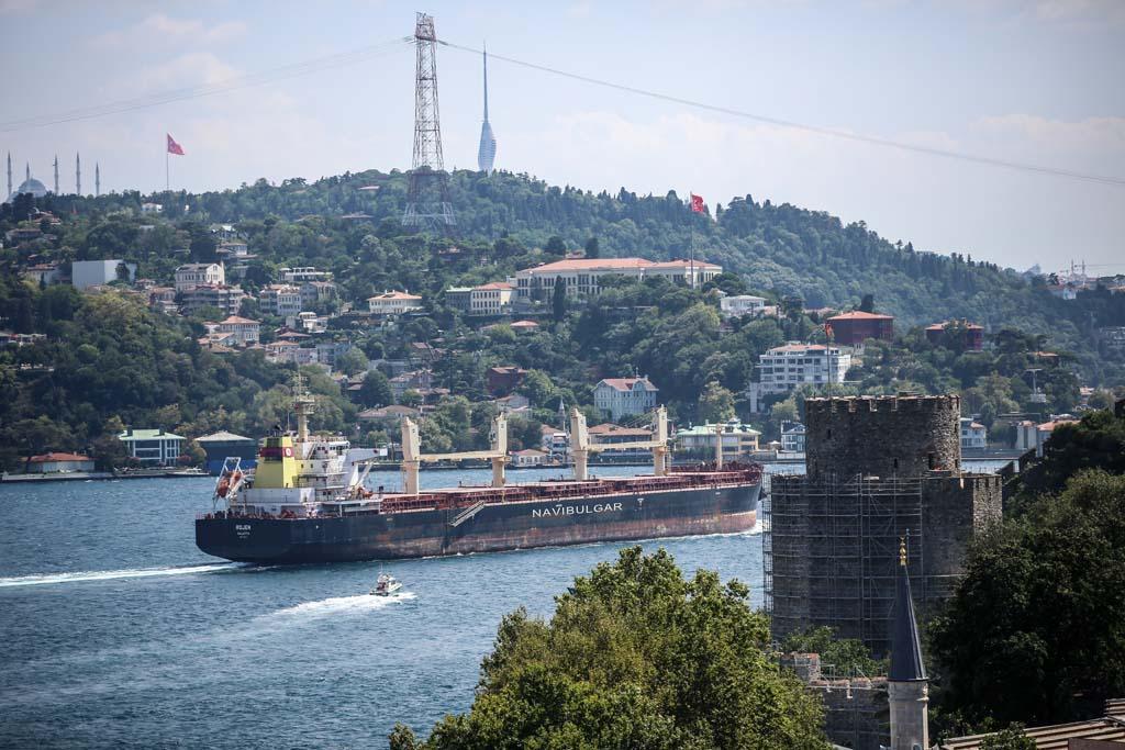 Only Erdoğan can bring Russia back to grain deal: Ukrainian FM